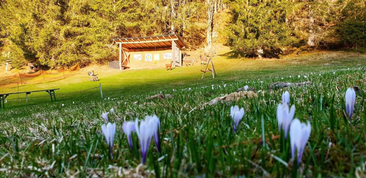 Schieplechnerhof Daire Schladming Dış mekan fotoğraf