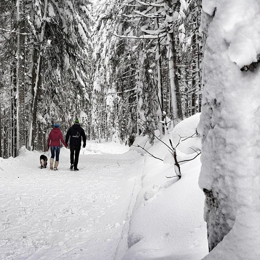 Schieplechnerhof Daire Schladming Dış mekan fotoğraf