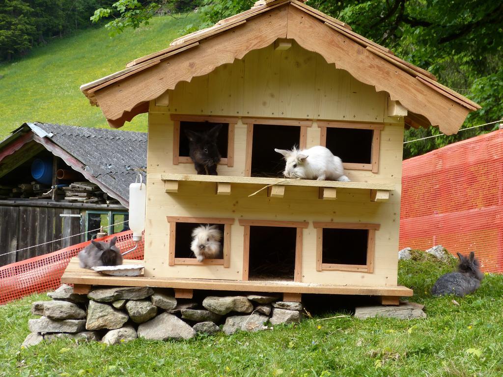 Schieplechnerhof Daire Schladming Dış mekan fotoğraf