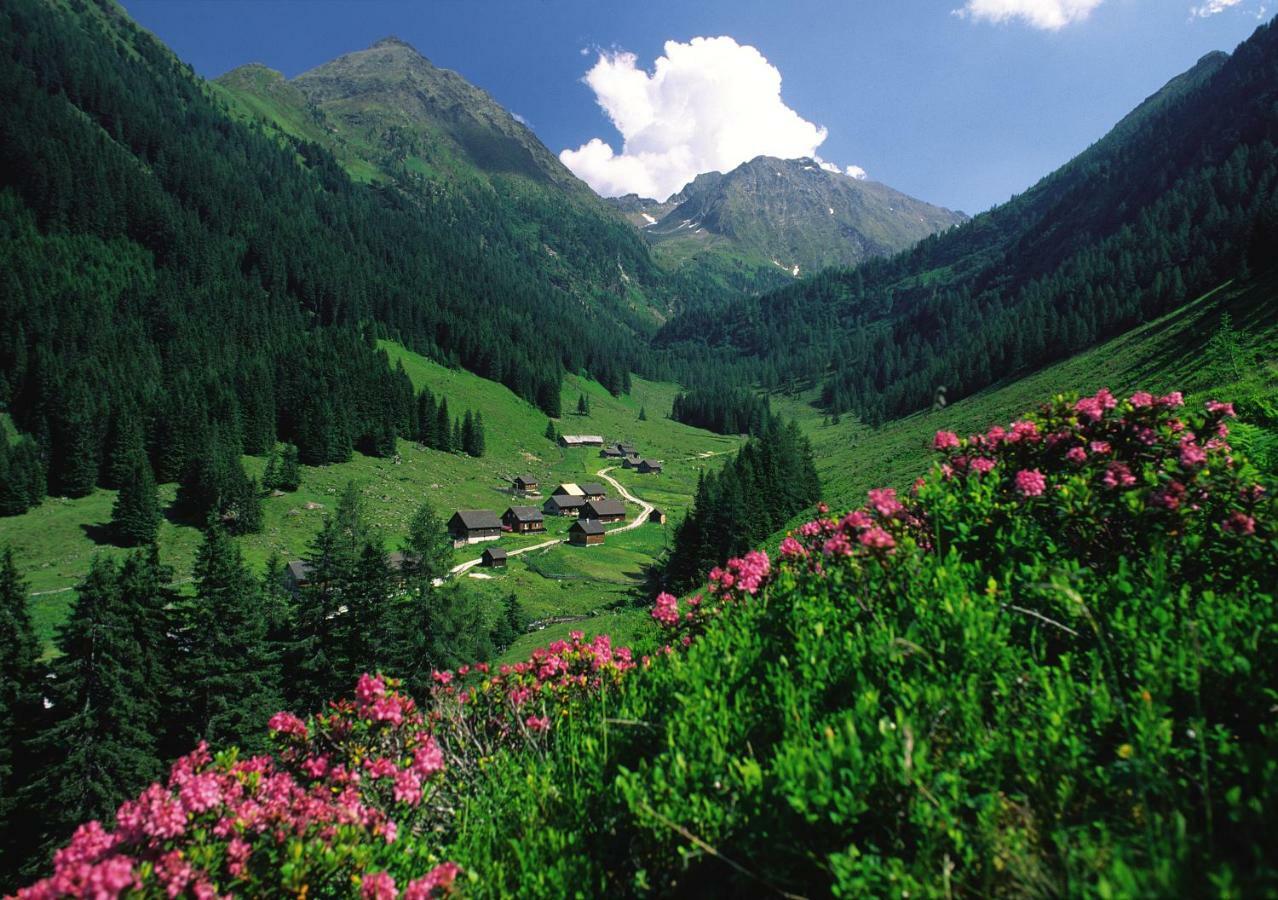 Schieplechnerhof Daire Schladming Dış mekan fotoğraf
