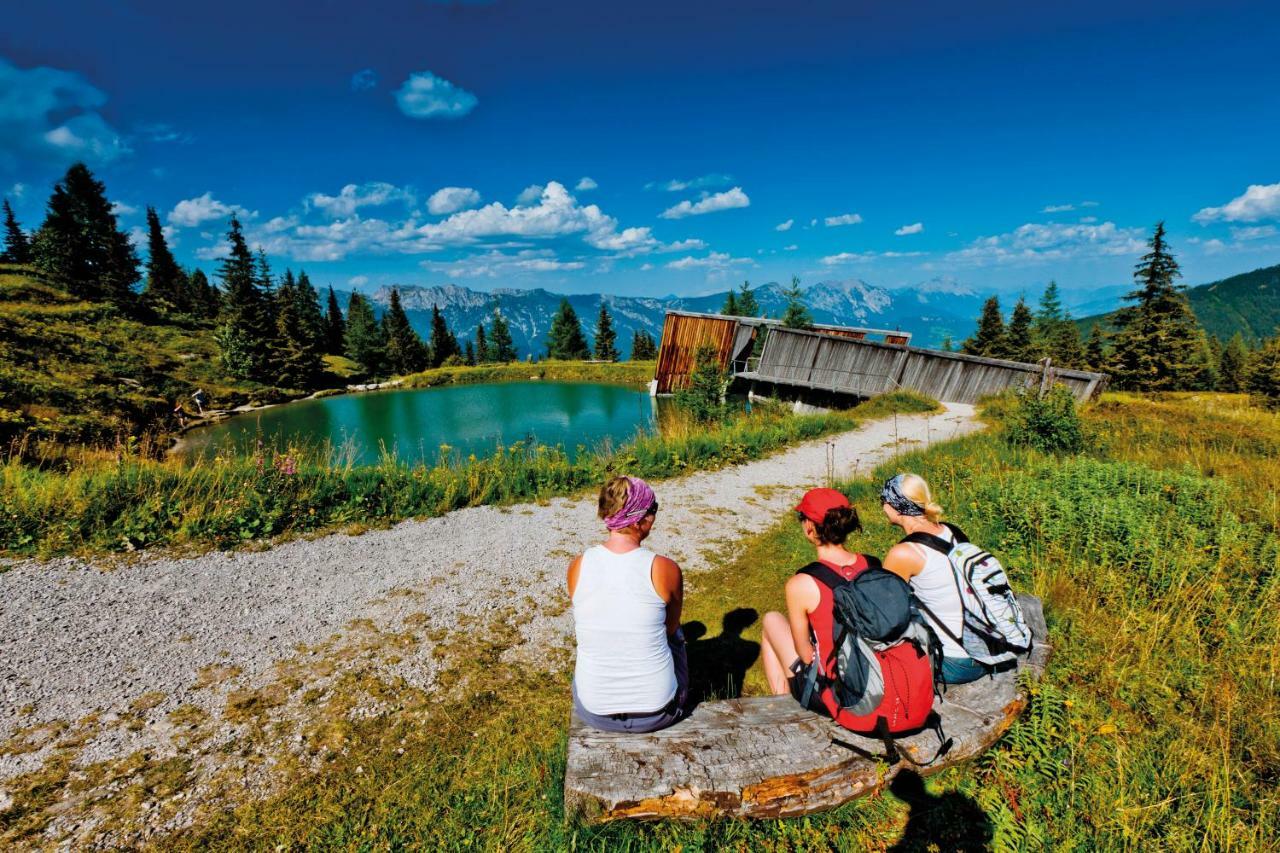 Schieplechnerhof Daire Schladming Dış mekan fotoğraf