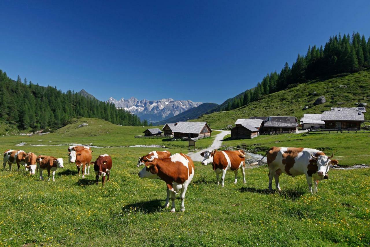 Schieplechnerhof Daire Schladming Dış mekan fotoğraf
