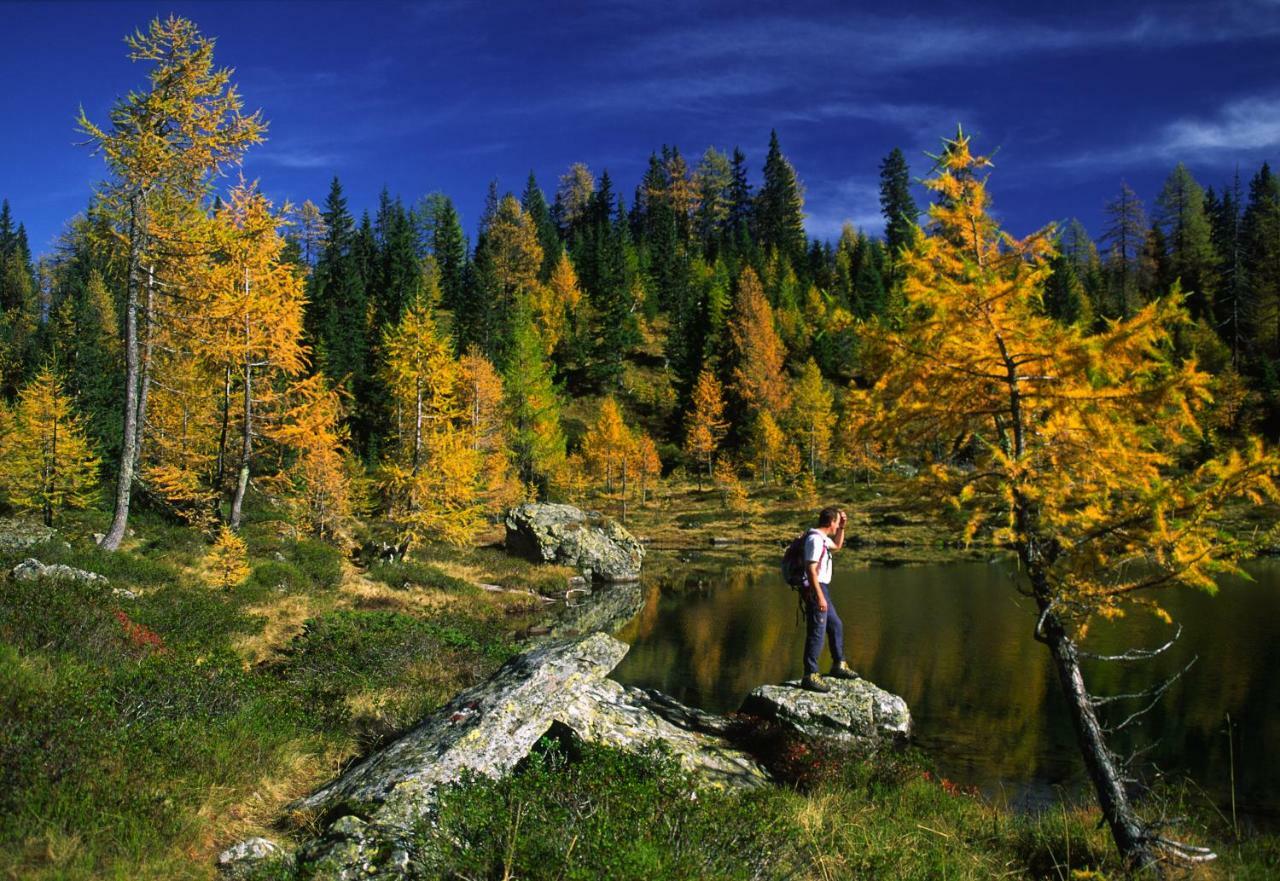 Schieplechnerhof Daire Schladming Dış mekan fotoğraf